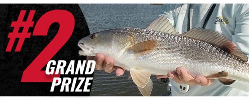 Grand Prize 2 - photo © Penn Fishing