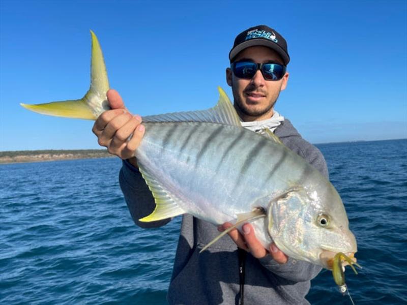 Golden trevally are common bycatch when chasing snapper in the bay - photo © Fisho's Tackle World