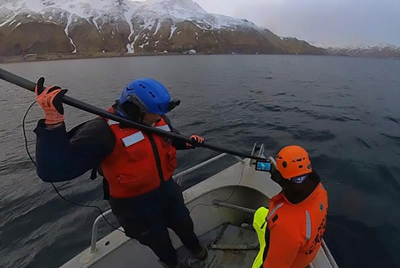 The team used a new piece of equipment: a live-streaming camera attached to a 28-foot long pole behind a fixed knife. The camera enabled the response team to view the cutting action in nearly real-time - photo © NOAA Fisheries, taken under NOAA Fisheries permit #24359