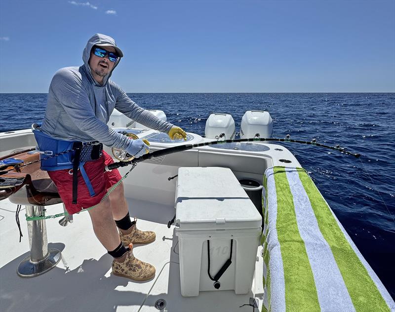 Crew on board an Invincible 46' cat land an 884 pound Atlantic Bluefin tuna - a Texas record - photo © Catillac