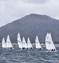 2025 Flying Fifteen Spanish Championship © Spanish Flying Fifteen Association