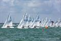 Poole Week © David Harding / www.sailingscenes.com