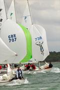 Folkboat Week 2025 &copy; Andrea Kozak