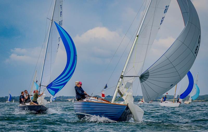 Taittinger RSYC Regatta 2024 - photo © Tim Jeffreys Photography