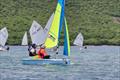 Sint Maarten YC competes in the Caribbean Dinghy Championship © SMYC