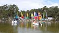NSW Hobie Cat State Championships on Wallis Lake © Bruce Andersson