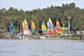NSW Hobie Cat State Championships on Wallis Lake © Bruce Andersson