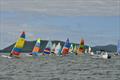 NSW Hobie Cat State Championships on Wallis Lake © Bruce Andersson