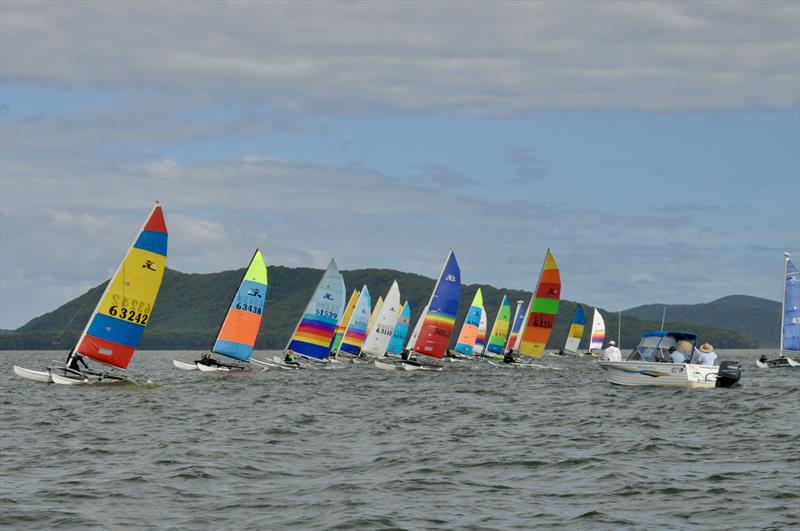 NSW Hobie Cat State Championships on Wallis Lake photo copyright Bruce Andersson taken at Great Lakes Sailing Club and featuring the Hobie 14 class