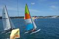 Hobie Cat Channel Island Championships 2025 © Elaine Burgis