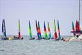 Hobie Cat Channel Island Championships 2025 © G Clayton