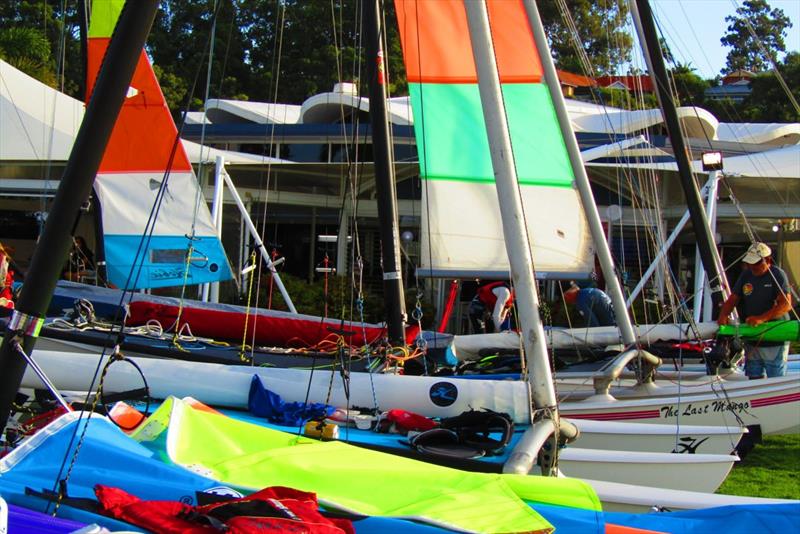 Hobie Queensland State Championships - photo © Queensland Hobie Cat Association