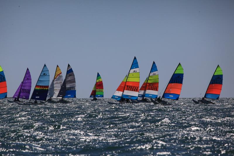 Queensland Hobie Cat State Championships - between starts - photo © Spikey Mike