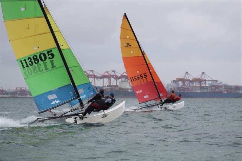 2023-24 NSW Hobie Cat State Championships at the Kurnell Catamaran Club photo copyright Alannah Simpson taken at  and featuring the Hobie 16 class