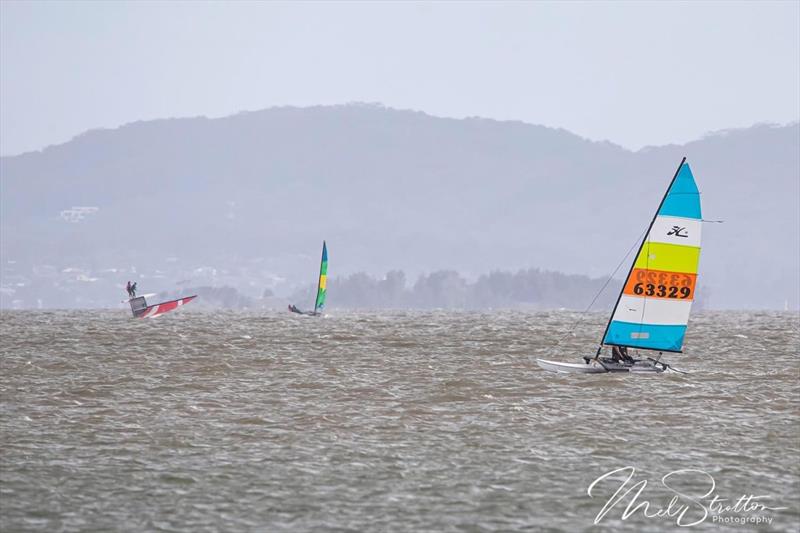 NSW Hobie Cat State Championships 2024 - photo © Alannah Simpson