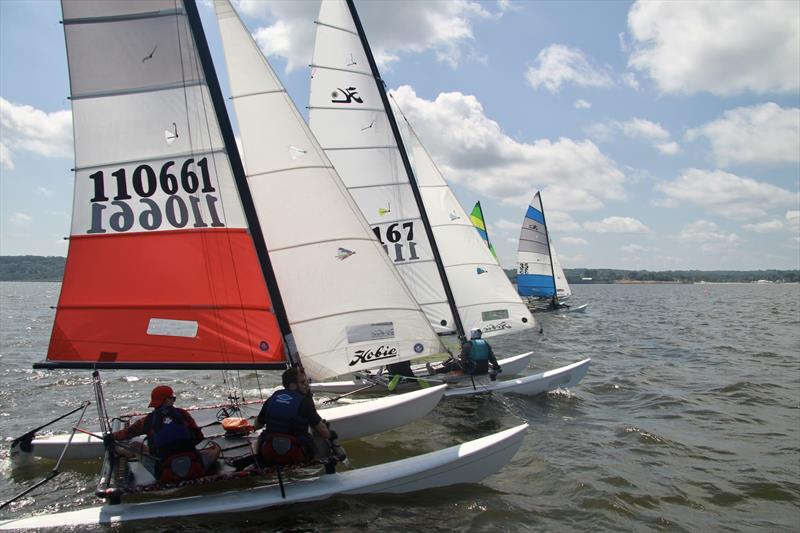 Hobie 16 racecourse action photo copyright Thomas Gardner taken at Sandy Bay Sailing Club and featuring the Hobie 16 class