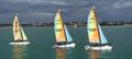 Class 7 - Dragoon 1370 - Lottie Ohlsson and Capucine Bacquet - during the Butterfield Jersey Regatta 2026 &copy; Bill Harris