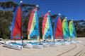 Hobie Wave © Hobe Cat