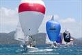 Colorful spinnakers on the IC24 class boats look like Easter bonnets on parade on day 3 of the 52nd St. Thomas International Regatta &copy; STIR / www.ingridabery.com