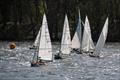 Illusion and 2.4m joint open meeting at Middle Nene - start of race 2 © David Livingstone