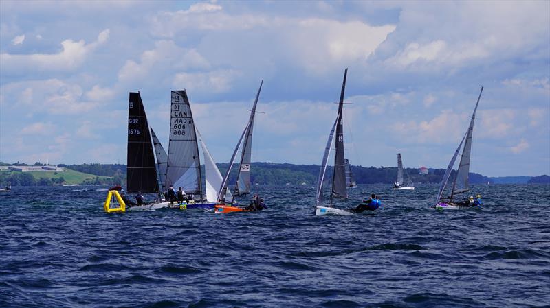 International 14 World Championship 2026 at Kingston, Canada - photo © Dave Balfour