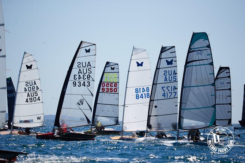 2026 Australian International Moth Open National Championships Day 1 - photo © Shane Baker