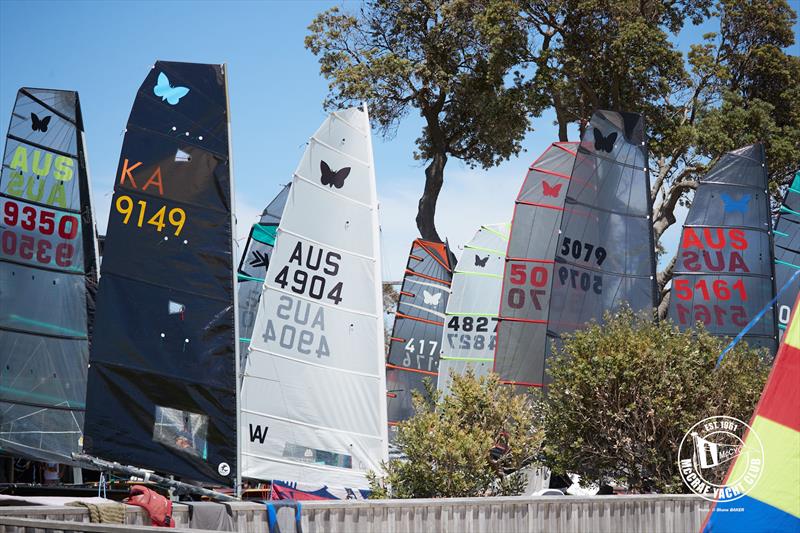 2026 Australian International Moth Open National Championships Day 2 - photo © Shane Baker