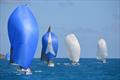 Racing action at the St. Croix International Regatta © St. Croix International Regatta / Trish Rhodes
