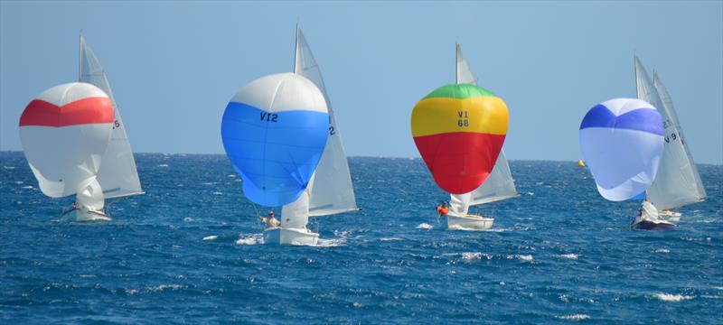 Racing action at the St. Croix International Regatta photo copyright St. Croix International Regatta / Trish Rhodes taken at St. Croix Yacht Club and featuring the IRC class