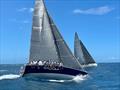 Black Diamond - 14th Bartercard Sail Paradise 2023 © Southport Yacht Club