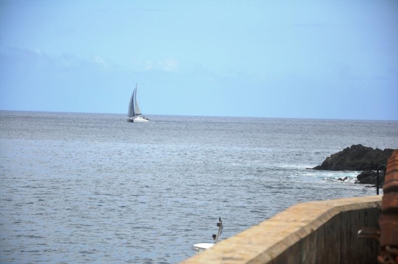 Compromise enters James Bay to finish the Cape to St Helena Yacht Race photo copyright Vince Thompson / St Helena Independent taken at St Helena Yacht Club and featuring the IRC class