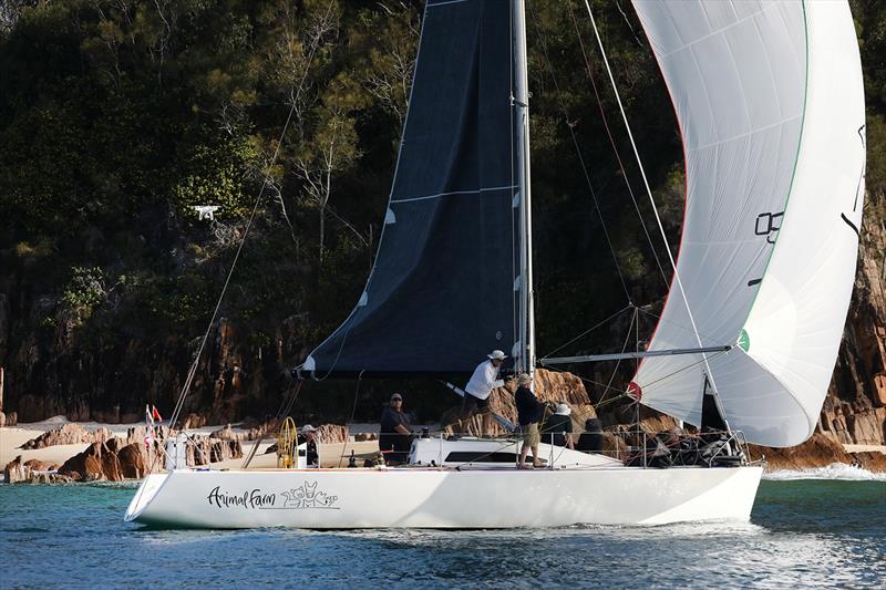 Sail Port Stephens - Animal Farm 1st Div 3 Race 2  photo copyright Promocean Media taken at Port Stephens Yacht Club and featuring the IRC class