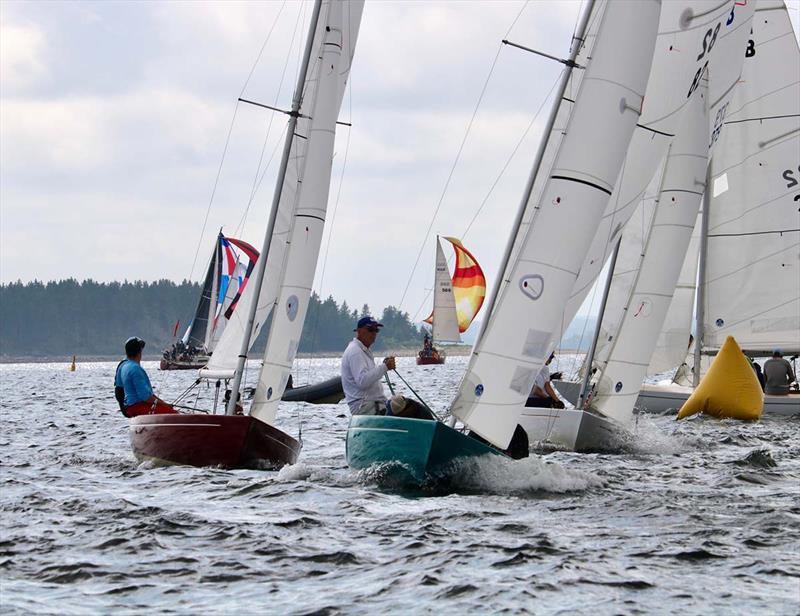 Helly Hansen Chester Race Week 2023 - photo © Tara Wickwire