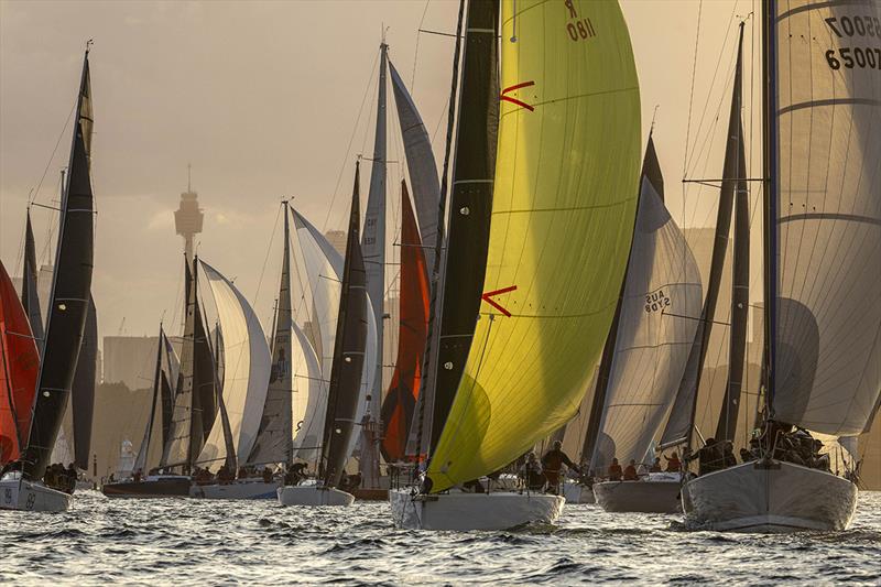 2023 Cabbage Tree Island Race - photo © Andrea Francolini