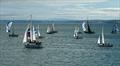 Cardigan Bay Regatta at New Quay: They're Off! © Rees Tom Jones, Martyn Johnson, Fiona Lloyd Evans, Chris Seal