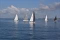 2025 Royal Escape Race © Sussex Yacht Club Ltd.