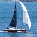 Le Tiroflan speeding down Sydney Harbour © CYCA