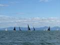 Abersoch Keelboat Week 2025 © Charlotte Pinnington & Harry Fildes