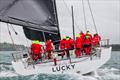 Lucky approaches the finish line in Auckland - Finish Sydney Auckland Race - October 14, 2025 © Tamsin Rountree