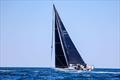 Frantic has almost caught Antiopodes - 2025 Sydney to Auckland Ocean Race © Salty Dingy / S2A