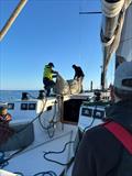 Yet another sail change on Antipodes - 2025 Sydney to Auckland Ocean Race © Antipodes