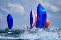 Sail Port Stephens © Salty Dingo