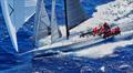 Rolex Sydney Hobart Yacht Race 2024 © Rolex / Carlo Borlenghi