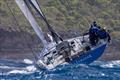 Bouwe Bekking will be racing on the Mills 72 Balthasar with Louis Balcaen at the helm &copy; Tim Wright / www.photoaction.com