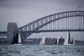 Some of the Performance division under the Sydney Harbour Bridge - 2026 Nautilus Marine Insurance Sydney Harbour Regatta &copy; Brett Costello / MHYC