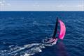 Rolex Middle Sea Race &copy; Royal Malta Yacht Club