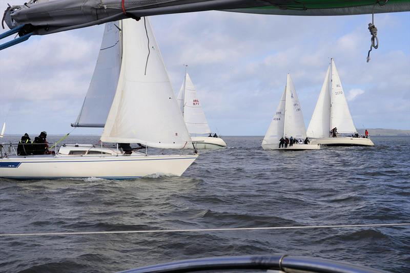 Tadg Riordan Brass Monkeys Spring Series at Howth day 5 - photo © John Furlong