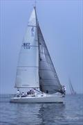 Chester Race Week 2025 © Bob Pettipas