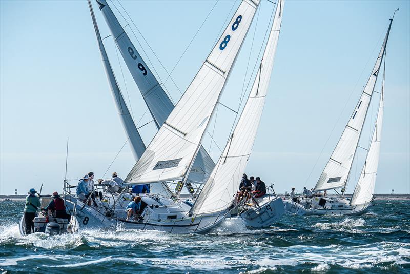 2025 Challenge for the Lipton Cup - photo © Mark Albertazzi