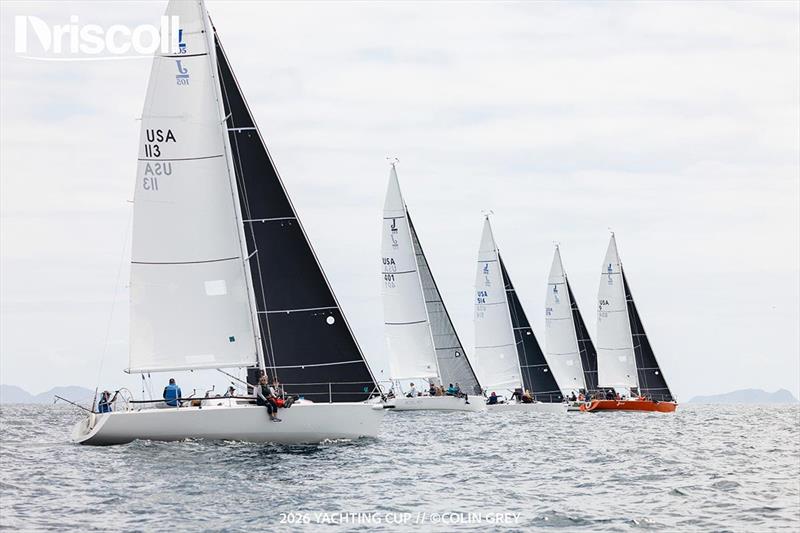 Yachting Cup 2026 at San Diego Yacht Club - photo © Colin Grey